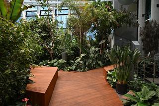 Ogród botaniczny wśród wieżowców