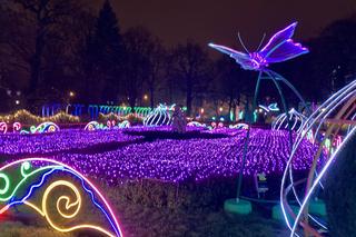 Park Miliona Świateł w tym roku bez współpracy z miastem. Gdzie odbędzie się wydarzenie?