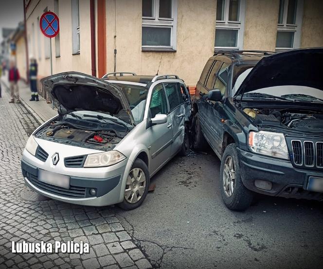 gorzów pijany płot trzciel 2