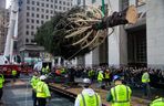 W Nowym Jorku stanęła choinka. Tłumy towarzyszyły jej transportowi