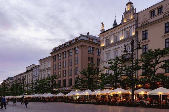 Feniks na Rynku Głównym w Krakowie