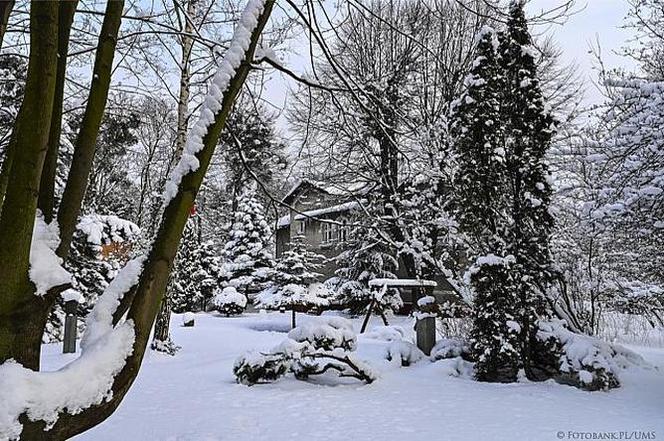 Zima 2021 w Sopocie. Kurort pod grubą warstwą śniegu 11.02.2021 r.