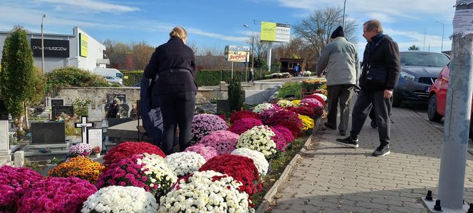 Przygotowania do Wszystkich Świętych Zamość