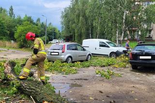 Armagedon pogodowy. W Sosnowcu piorun uderzył w dom ZDJĘCIA