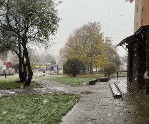 Pierwszy śnieg w Szczecinie