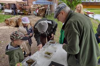 Dzień Biologii i Biotechnologii w Iławie w ramach Pikniku Naukowego bioIŁAWA