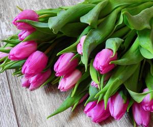 Wrzucam 1 łyżeczkę do wazonu z ciętymi tulipanami. Zastrzyk energii dla kwiatów