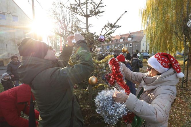 W Gdańsku rozbłysły pierwsze dzielnicowe choinki