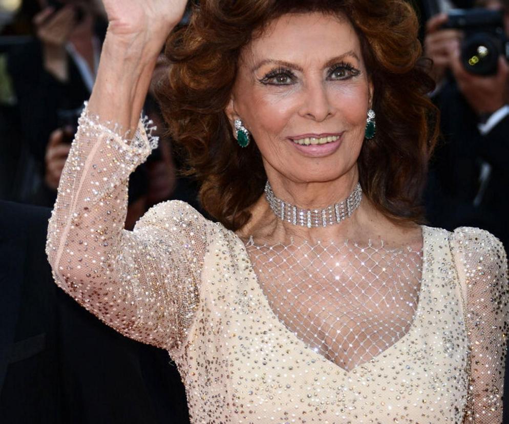 Sofia Loren w szpitalu! Gwiazda kina miała straszny wypadek