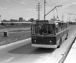 Warszawskie trolejbusy