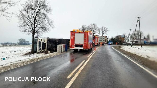Wypadek ciężarówki z trzodą chlewną