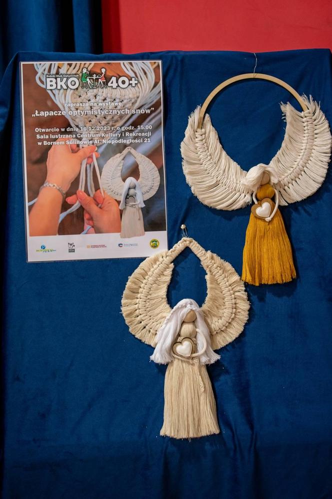 Wystawa w Bornem Sulinowie