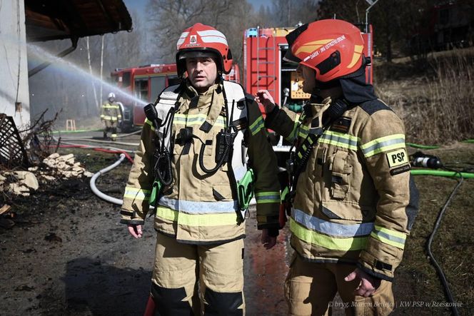 Pożar Wilczej Jamy w Bieszczadach