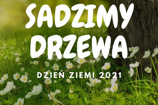 Zielony powiat 