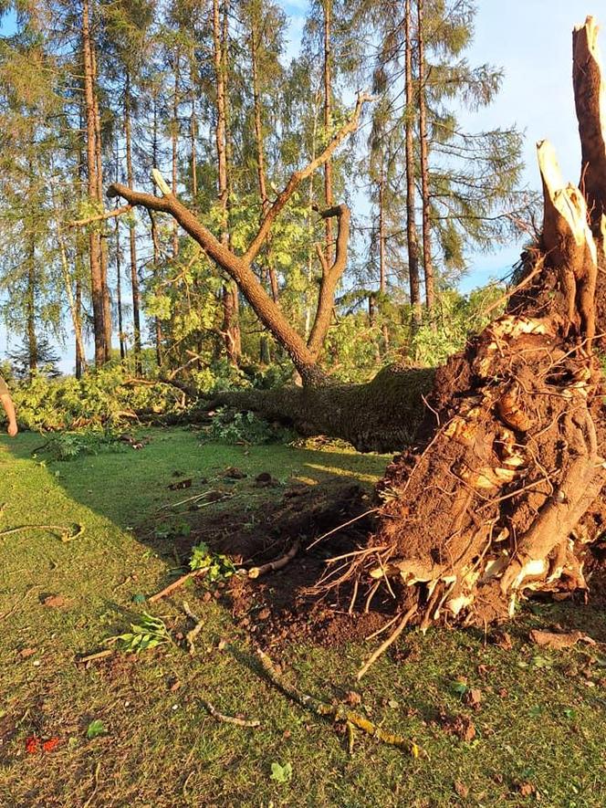 Nawałnice przeszły przez Polskę. Najwięcej interwencji na Warmii i Mazurach [ZDJĘCIA]