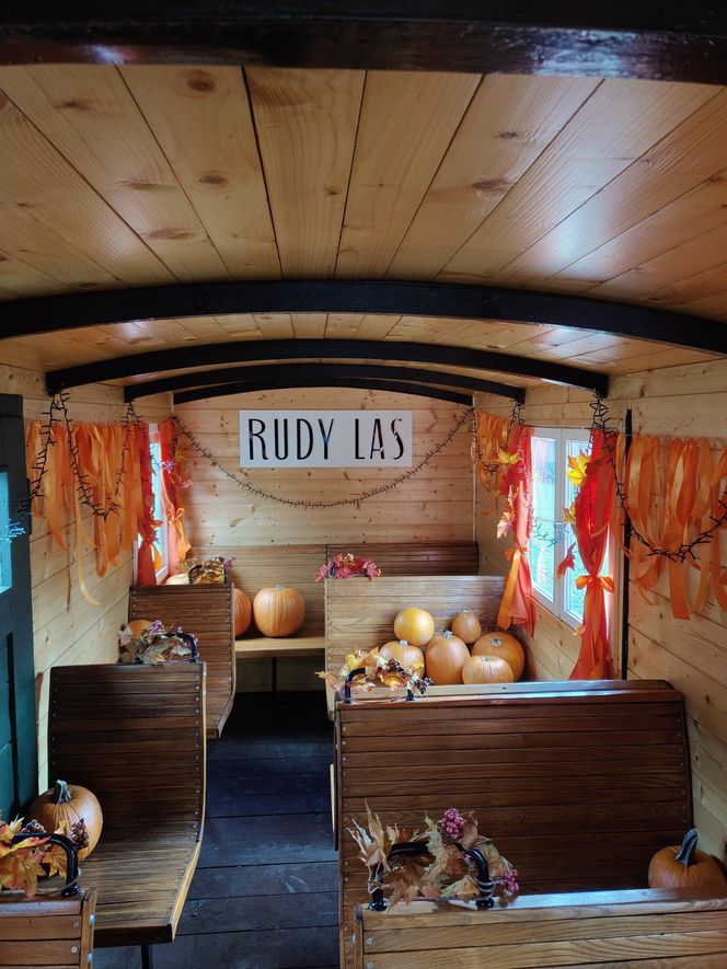 Jesienna atrakcja dla całej rodziny. Zabytkowa stacja w Rudach zaprasza na Pumpkin Express