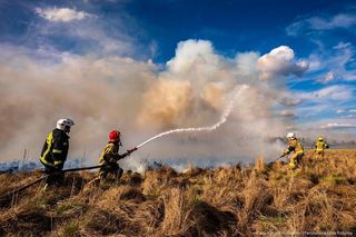 Rozszerza się pożar na terenie Biebrzańskiego Parku Narodowego! 