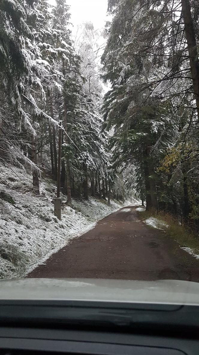 Na Dolnym Śląsku spadł pierwszy śnieg! Zobacz zdjęcia [GALERIA]