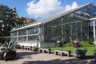 Palmiarnia Poznańska zamknie swoje drzwi na minimum 3 lata. Niebawem rusza wielka przebudowa