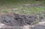 Urządzili sobie tor przeszkód w zabytkowym parku