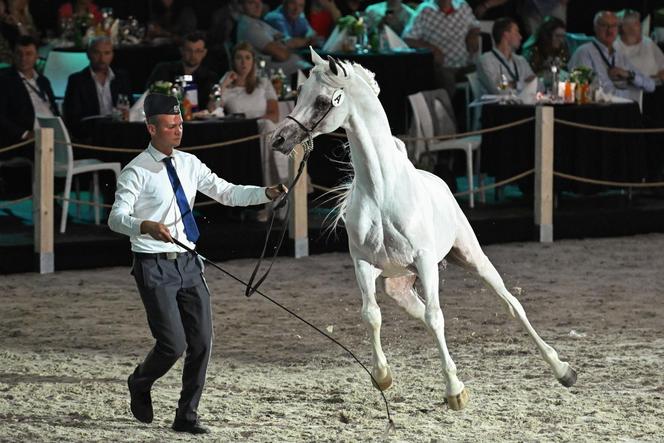 Porażka Pride of Poland 2024? Zyski są zdecydowanie niższe niż rok temu