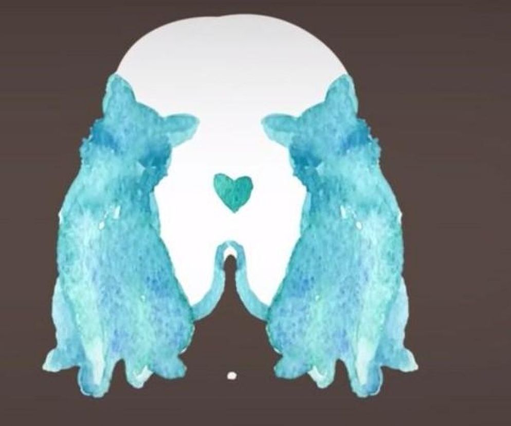 Przyjrzyj się dobrze, a dowiesz się, czy inni Cię lubią. To, co zobaczysz wyjawi prawdę o Tobie. Test osobowości 