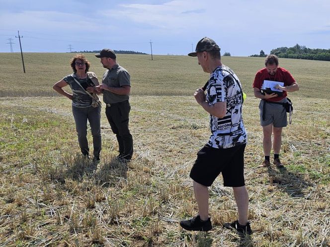Akcja na polu, gdzie znaleziono Wampirkę z Pnia. Młodzi chodzili z detektorami, niedługo wracają tam archeolodzy