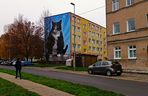 Mural z kotem Gackiem już odsłonięty