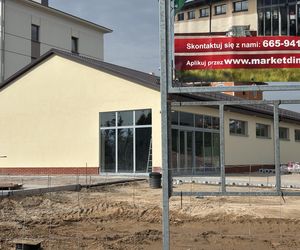 Dino w Sejnach