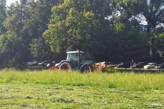 Sianokosy na Błoniach