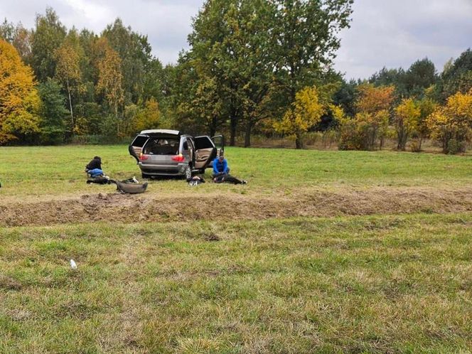 Dramatyczny pościg w Wołominie! BMW w rowie, imigranci z Afganistanu w rękach policji