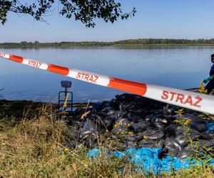 Ponad 70 ton śniętych ryb odłowiono w 12 dni. W jeden dzień padł koszmarny rekord