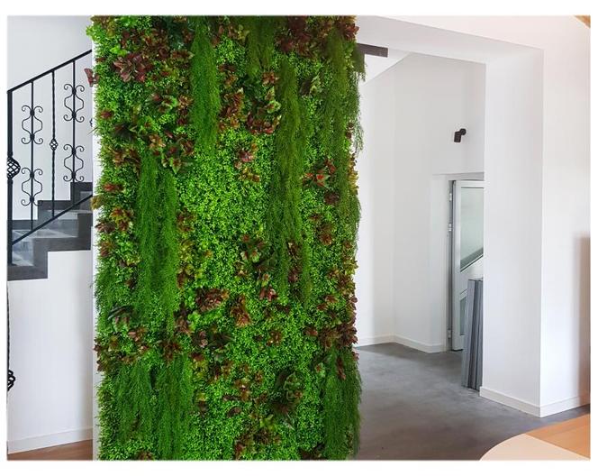 Zielona ściana w mieszkaniu