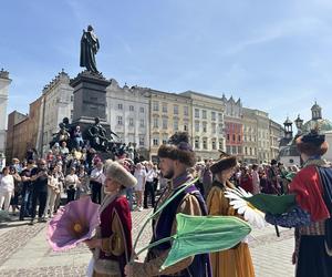 Polonez wiosenny na Rynku Głównym w Krakowie