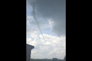 Spektakularny lej burzowy pod Tarnowem! Miał kilkanaście metrów wysokości -- 