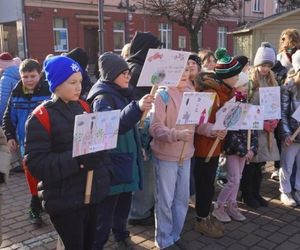 Dwumetrowe płuca w samym sercu Żor. Pokazują jak zanieczyszczenia osadzają się na powierzchni modelu