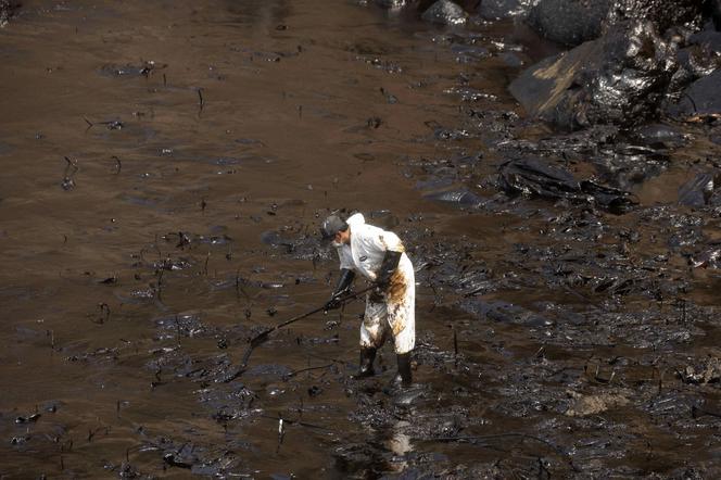 Katastrofa ekologiczna u wybrzeży Peru