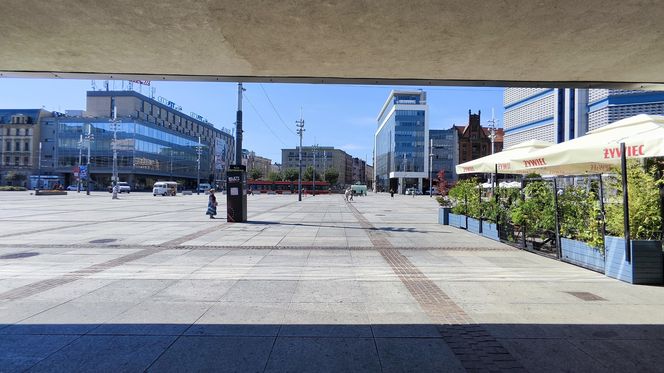 Katowice jak patelnia. Obowiązuje ruch cieniostronny. Nawet gołębie chowają się w cieniu