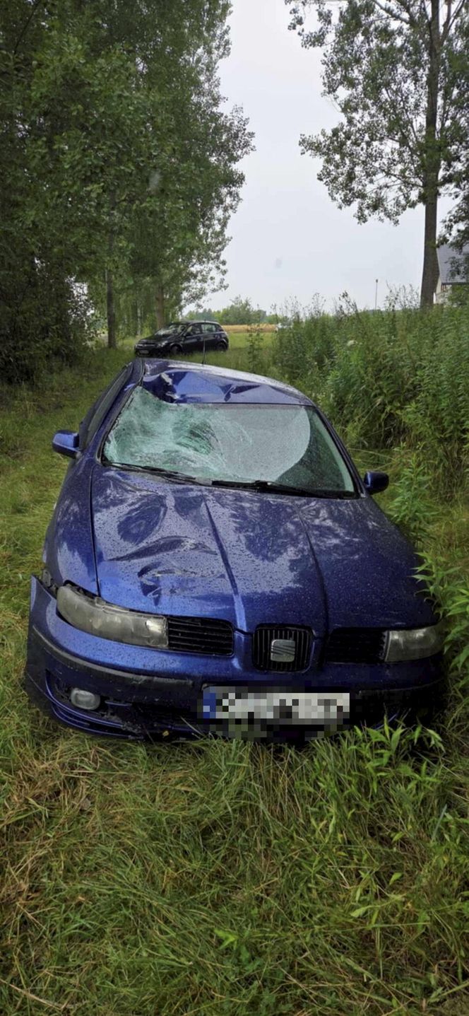 21 latka wróciła z pracy i zabiła nastolatka