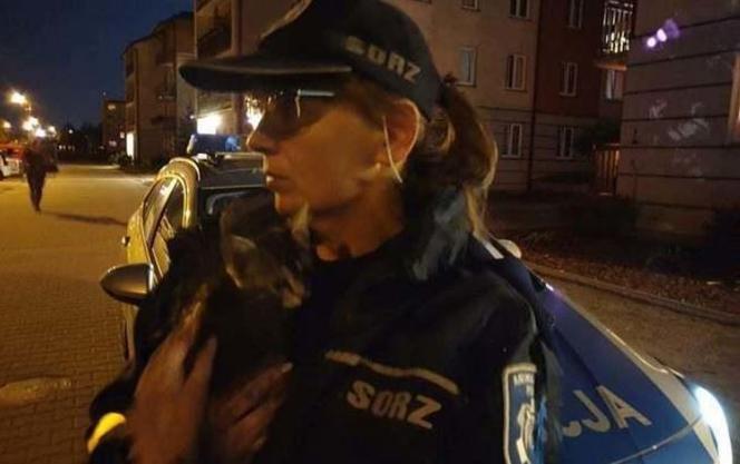 Wyrzuciła kota do kontenera na śmieci 