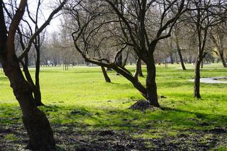 Słoneczny pierwszy dzień wiosny w Parku Ludowym w Lublinie