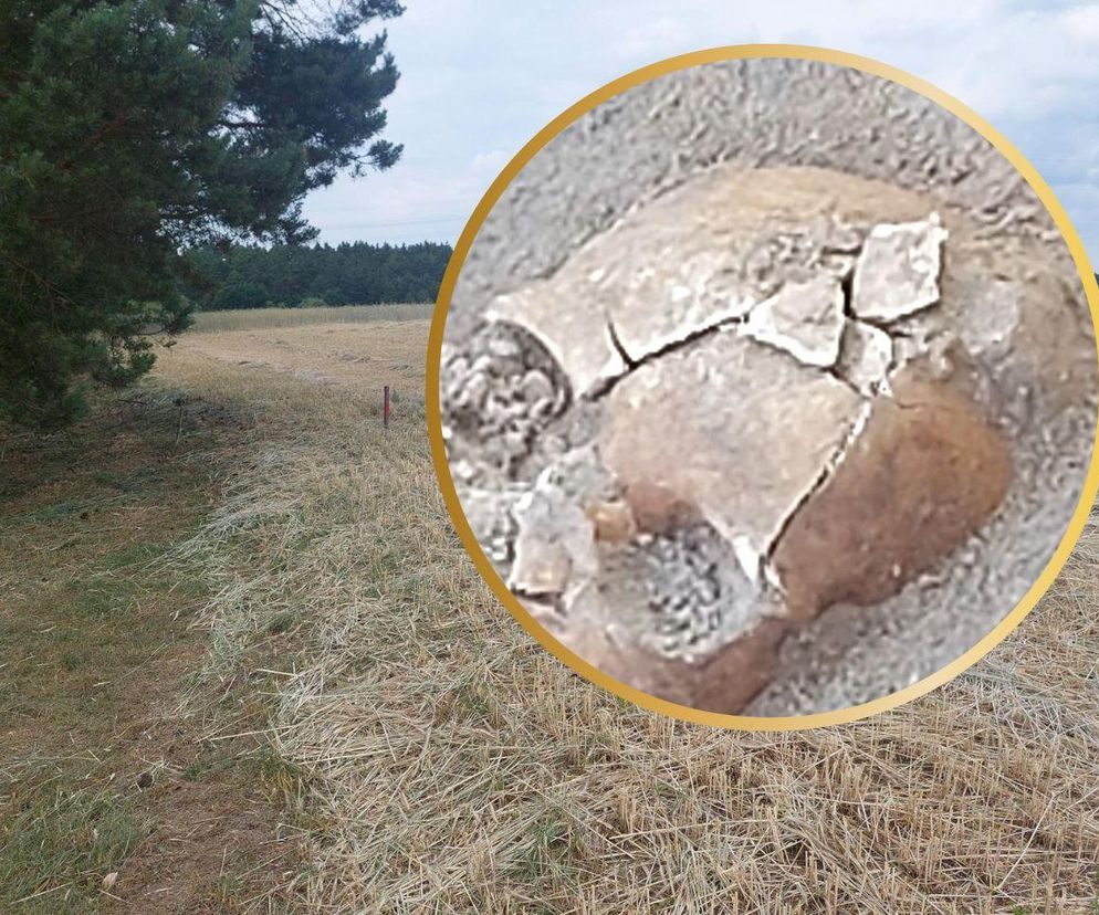 Kolejne wyjątkowe odkrycie w Pniu pod Bydgoszczą. Z polskimi naukowcami pracuje Indiana Jones z Liverpoolu, wcześniej badał Całun Turyński 