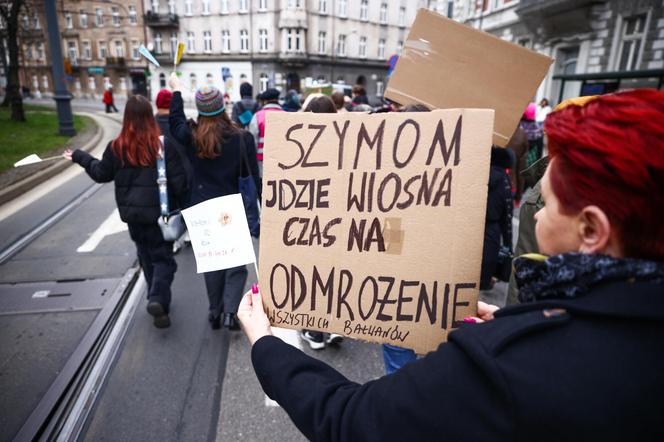 XVI Śląska Manifa w Katowicach: "Nie spieprzcie tego (co wywalczyłyśmy)" GALERIA