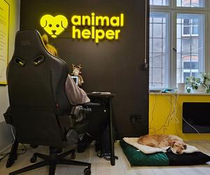 Animal Helper