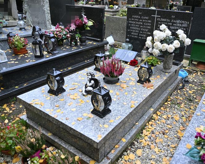 Elżbieta Zającówna