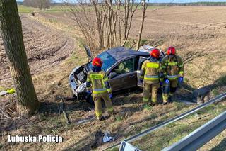 Poważny wypadek z udziałem motocyklisty w okolicach Sławy 