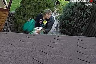 Złodziej włamał się do altanki przy ul. Mglistej w Rybniku