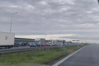 Śmiertelny wypadek na S7 pod Elblągiem [ZDJĘCIA]