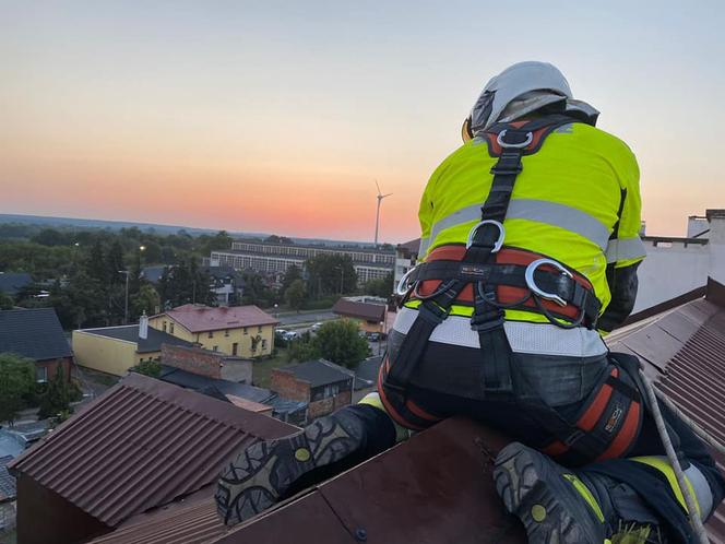 Mały kotek był uwięziony w rynnie na dachu! Na miejsce wezwano strażaków [ZDJĘCIA]
