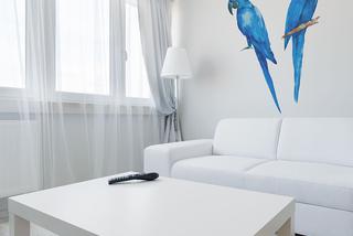Błękitne papugi na białej ścianie w salonie